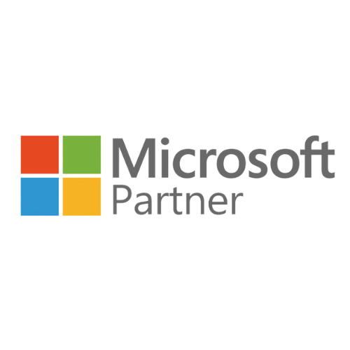 VKNG Digital Microsoft Ads Partner